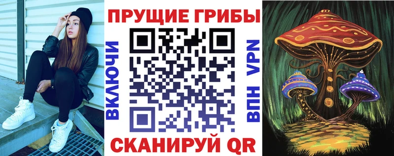 Галлюциногенные грибы Cubensis  omg зеркало  Ангарск 